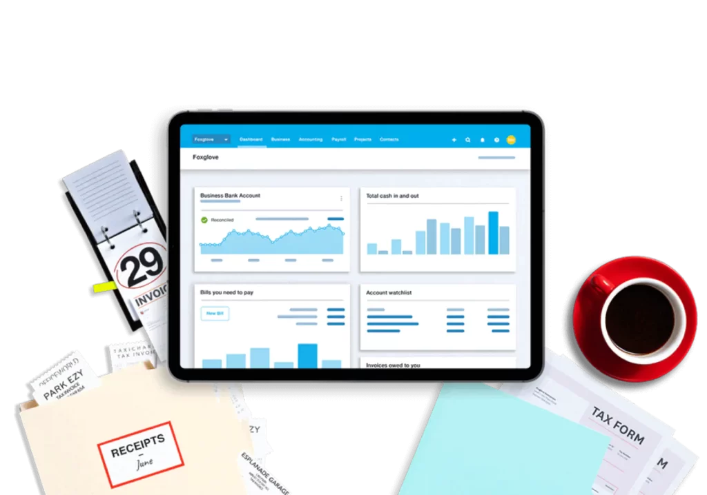 Xero Accounting Services